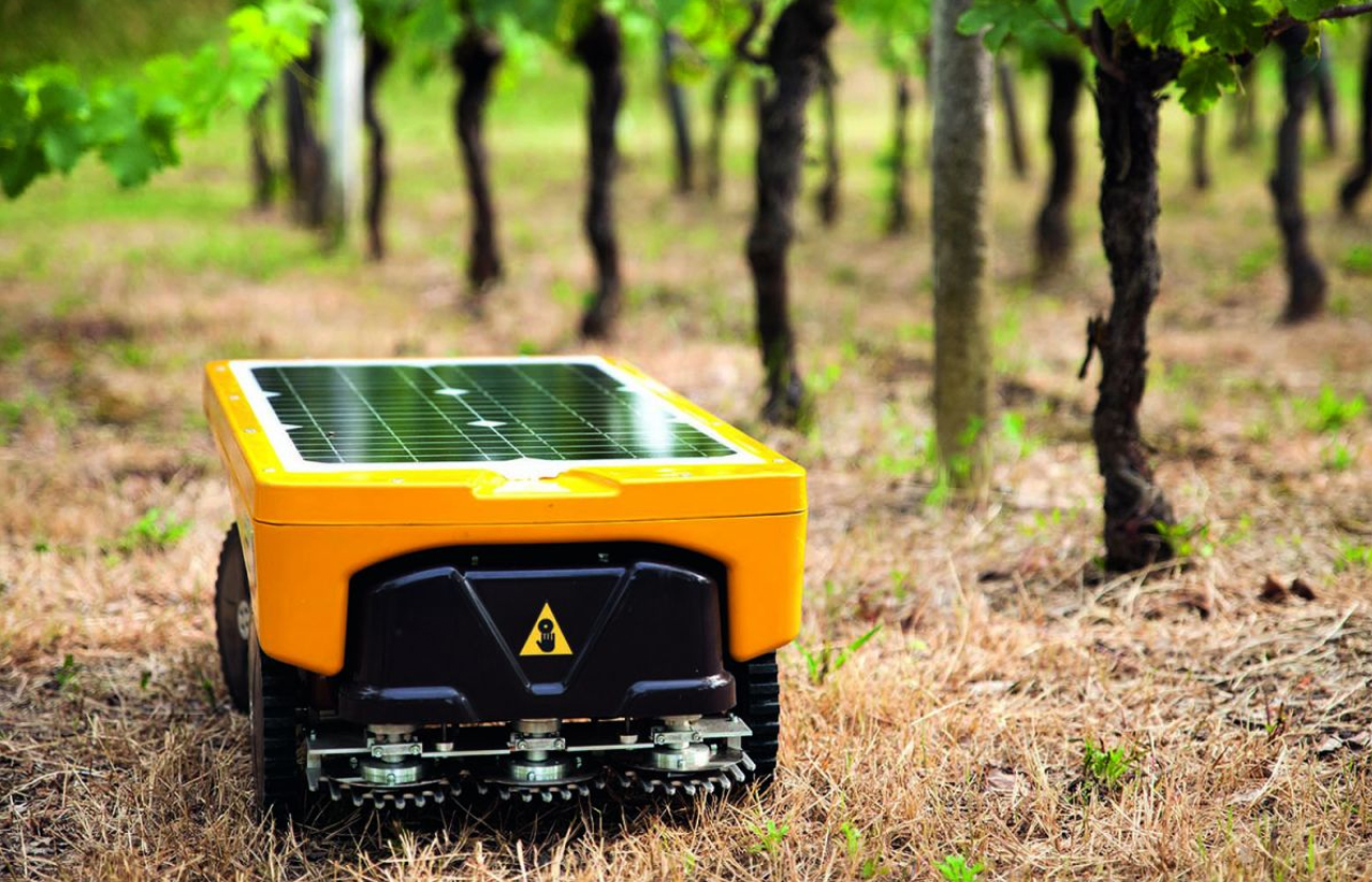 Australian motor news index Autonomous robots amongst the vines